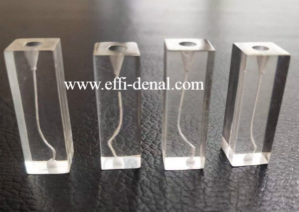 Dental endo training block 