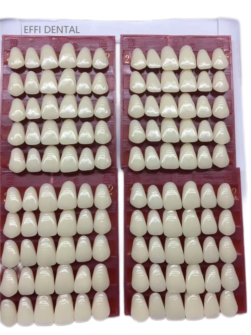 Synthetic Resin Tooth
