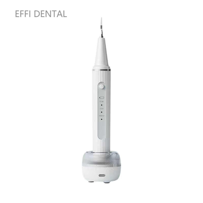 Electric Dental Calculus Remover