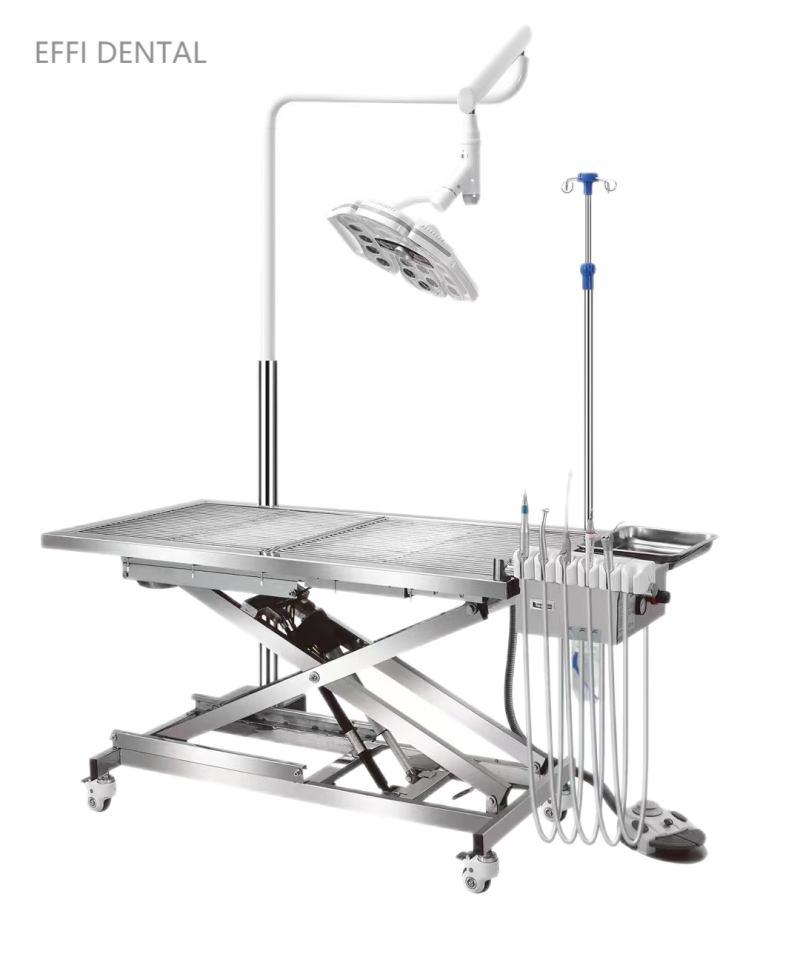 portable dental unit 